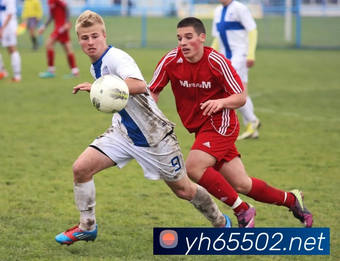 App界面